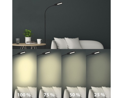 LED Stehleuchte CCT 600 lm warmweiß-tageslichtweiß H 128 cm mit Touchdimmer schwarz Stehleuchte mit verschiedenen Helligkeitsstufen in Wohnraumumgebung