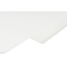 Glastafel magnetisch 120x90 cm