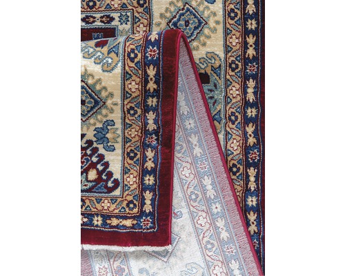 Detailansicht eines Teppichs mit gemustertem Design und roter Bordüre.