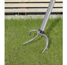 Unkrautstecher auf Rasen