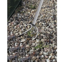 Unkrautstecher im Einsatz zwischen Steinen