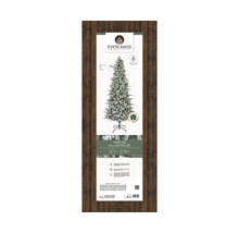 Verpackung eines Everlands Frosted Killington Tannenbaums