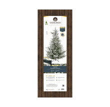 Verpackung einer Everlands Premium Norway Snowy Spruce künstlichen Tanne