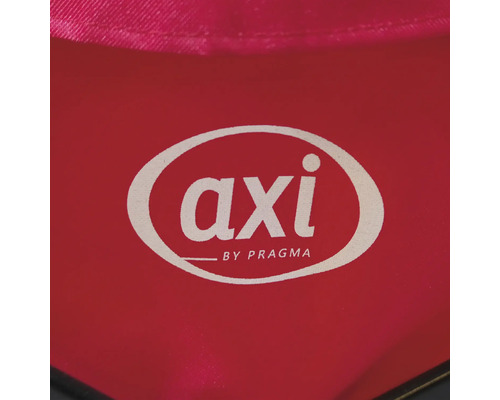 Axi by Pragma Logo