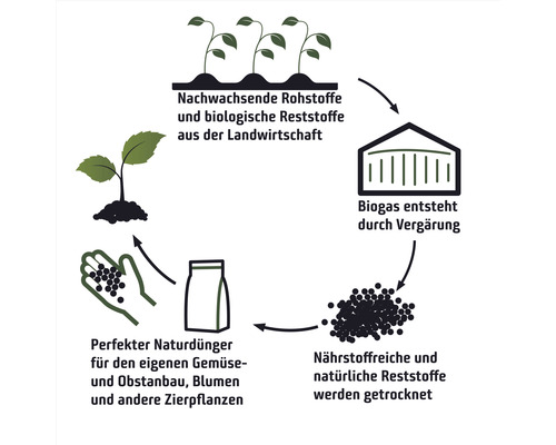 Kreislaufgrafik zur Herstellung von organischem Dünger aus nachwachsenden Rohstoffen