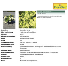 Pflanzenset Asia Garten FloraSelf ca. 30 m² Beet 21 Pflanzen inkl. 5 Kg Hofdünger organischer Dünger
