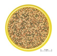 Fischnahrung Granulat in einer Dose