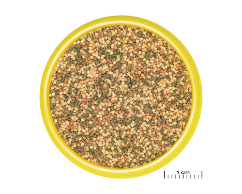 Fischnahrung Granulat in einer Dose