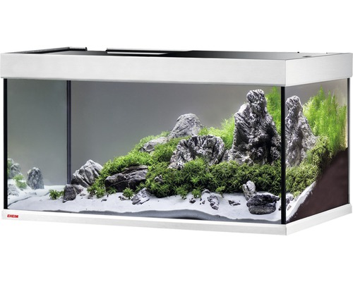 Eingerichtetes Aquarium mit Steinen und Pflanzen