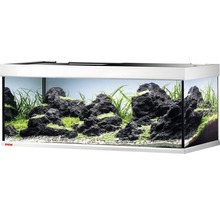 Aquarium mit Lavasteinen und Wasserpflanzen