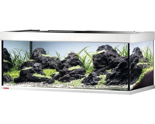 Aquarium mit Lavasteinen und Wasserpflanzen