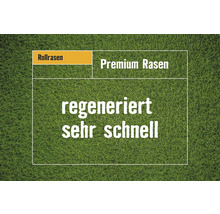 Rollrasen Premium-Rasen Bestellmenge 50 - 99 m² tagesfrisch geschält-thumb-2 Rollrasen Premium-Rasen Bestellmenge 50 - 99 m² tagesfrisch geschält-thumb-2
