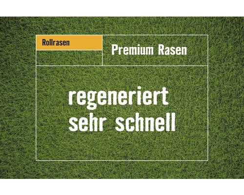 Rollrasen Premium regeneriert sehr schnell