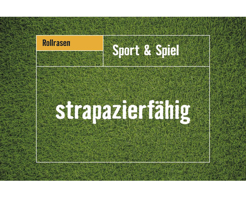 Strapazierfähiger Rollrasen für Sport und Spiel