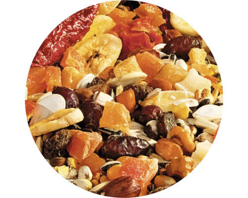 Nahaufnahme einer Mischung aus Trockenfrüchten und Samen