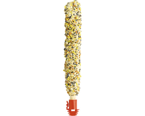 Vogelfutter-Stange mit verschiedenen Samen und roter Halterung