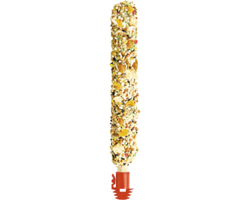 Vogelfutterstange mit Samen und Getreide für Wildvögel