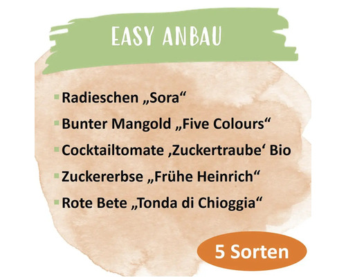 Liste von fünf Gemüsesorten für einfachen Anbau: Radieschen Sora, bunter Mangold Five Colours, Cocktailtomate Zuckertraube Bio, Zuckererbse Frühe Heinrich, Rote Bete Tonda di Chioggia