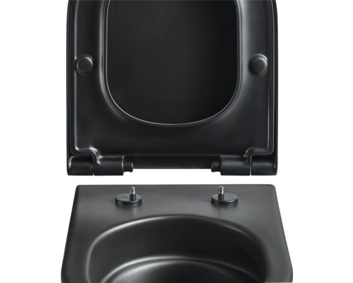 Toilettendeckel aus Duroplast