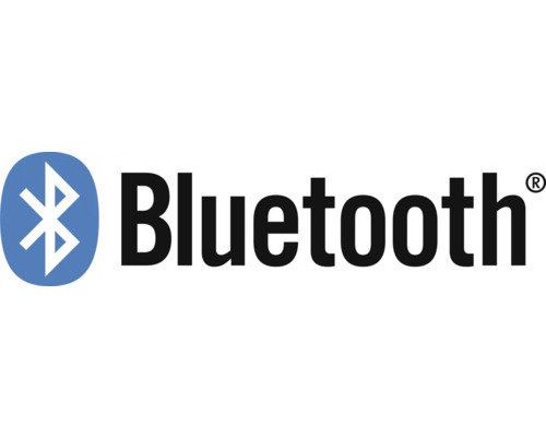 Bluetooth Logo
