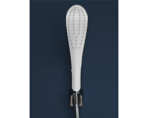 Handbrause mit Brauseschlauch in Halterung