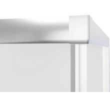 Fertigdusche Aurlane Silver zen 80 x 110 x 217 cm silber-matt-thumb-5 Fertigdusche Aurlane Silver zen 80 x 110 x 217 cm silber-matt-thumb-5