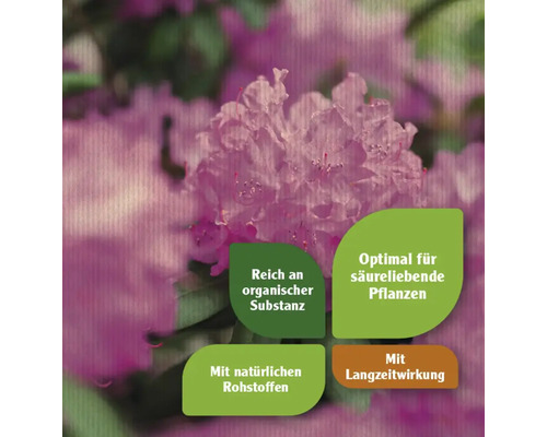 Moorbeetdnger FloraSelf Nature BIORGA organischer Dnger | HORNBACH
