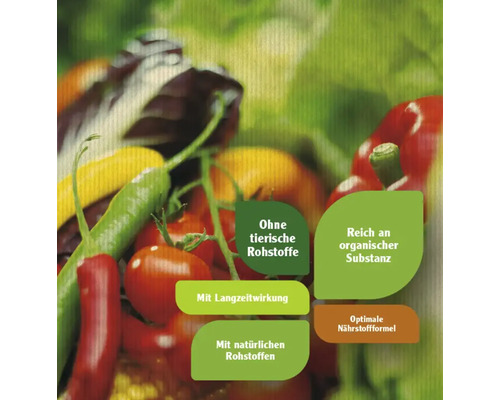 Gemüseauswahl mit Hinweisen zu Inhaltsstoffen und Nährwerten