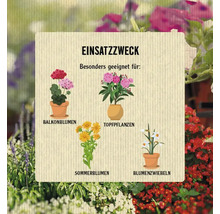 Anwendungsbeispiele für Balkonblumen, Topfpflanzen, Sommerblumen und Blumenzwiebeln.