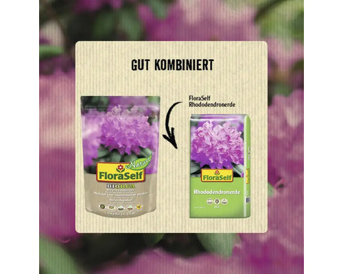womit kann man erdbeeren düngen Mineraldünger für Erdbeeren