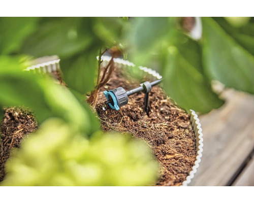 Tropfbewässerung im Einsatz zwischen Pflanzen