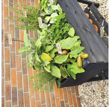 Hochbeet auf Stelzen promadino inkl. Folie 100 x 50 x 80 cm anthrazit-thumb-11