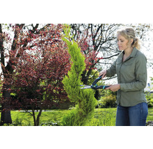Frau schneidet eine Pflanze mit einer Gartenschere im Garten.