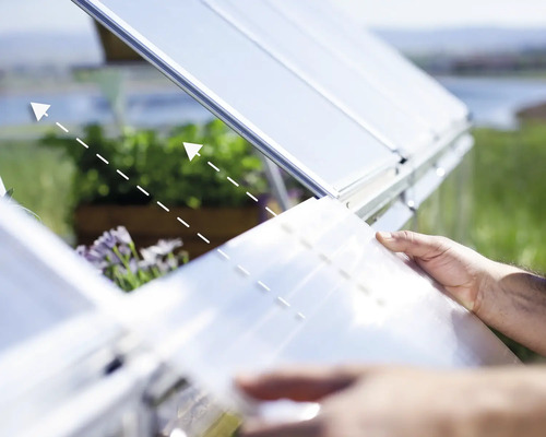 Offenes Gewächshaus mit Pflanzen und transparenten Fenstern