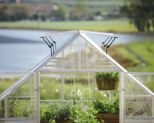 Gewächshaus mit geöffneter Tür und Pflanzen