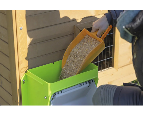 Befüllen eines Futterautomaten für Hühner mit Futterschaufel