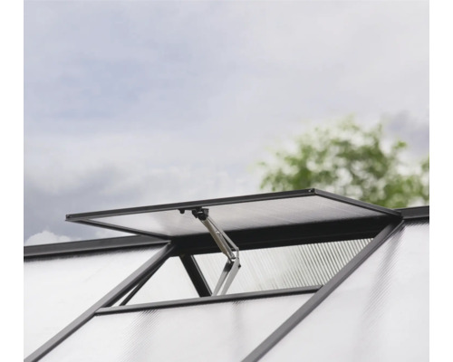 Geöffnetes Fenster zur Belüftung eines Gewächshauses