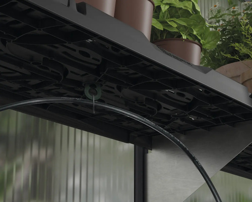 Detailansicht eines Regals mit Bewässerungssystem im Gewächshaus.