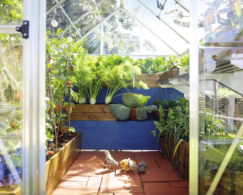 Innenansicht eines Gewächshauses mit Pflanzen und Küken