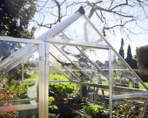 Gewächshaus mit Pflanzen