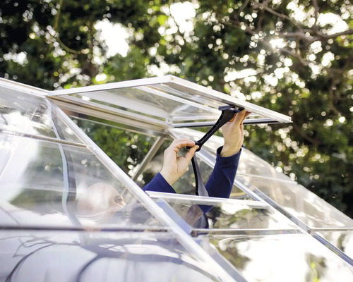 Person öffnet ein Fenster eines Gewächshauses zur Belüftung.
