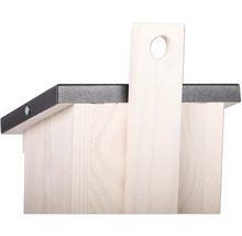 Detailansicht eines Holz-Nistkastens mit Griff