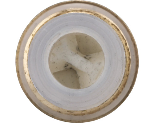 Aufsicht auf einen Ventileinsatz