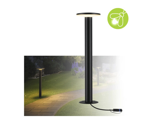 Außenleuchte mit energiesparender Leuchtmittel-Eignung