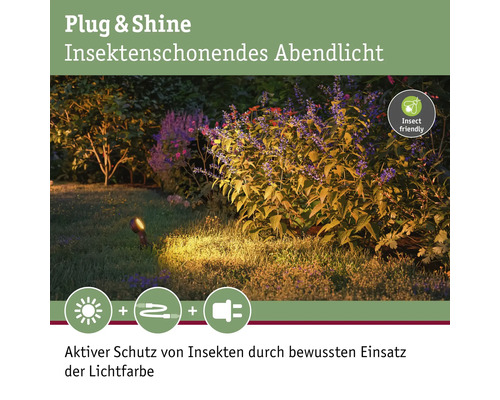 Gartenstrahler | Plug Paulmann & Shine HORNBACH LED Starterset