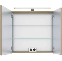 Geöffneter Spiegelschrank mit Glasböden, Beleuchtung und Steckdosen