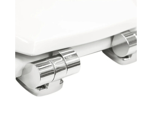 Detailansicht eines WC-Sitzes mit verchromten Scharnieren