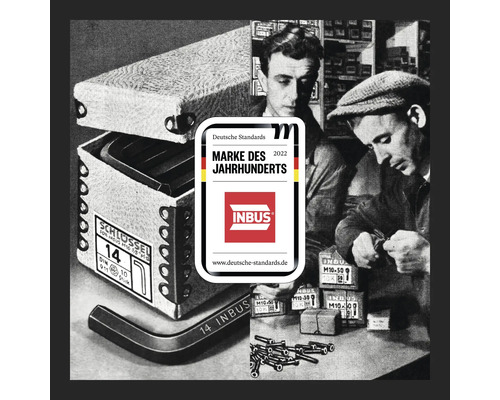 Inbus Marke des Jahrhunderts Siegel auf einer Retro-Abbildung von Inbusschlüsseln und Schrauben