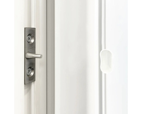 Detailansicht einer Tür mit Türriegel und Fensterolive