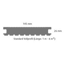 Konsta WPC Terrassendiele Masivo Vollprofil gebürstet 26x145 mm (Meterware ab 100 m bis max. 600 m) grau-thumb-3